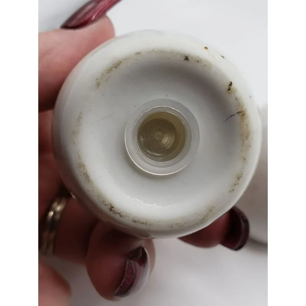 Vintage ISRAEL Signed Porcelain Hand Painted Rose Floral 14k Gold Salt Pepper Sh